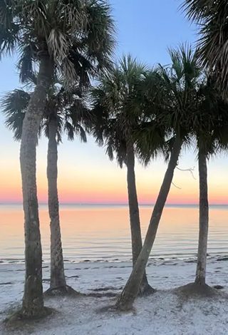 24 hours in St. Pete: where to eat, shop, and explore